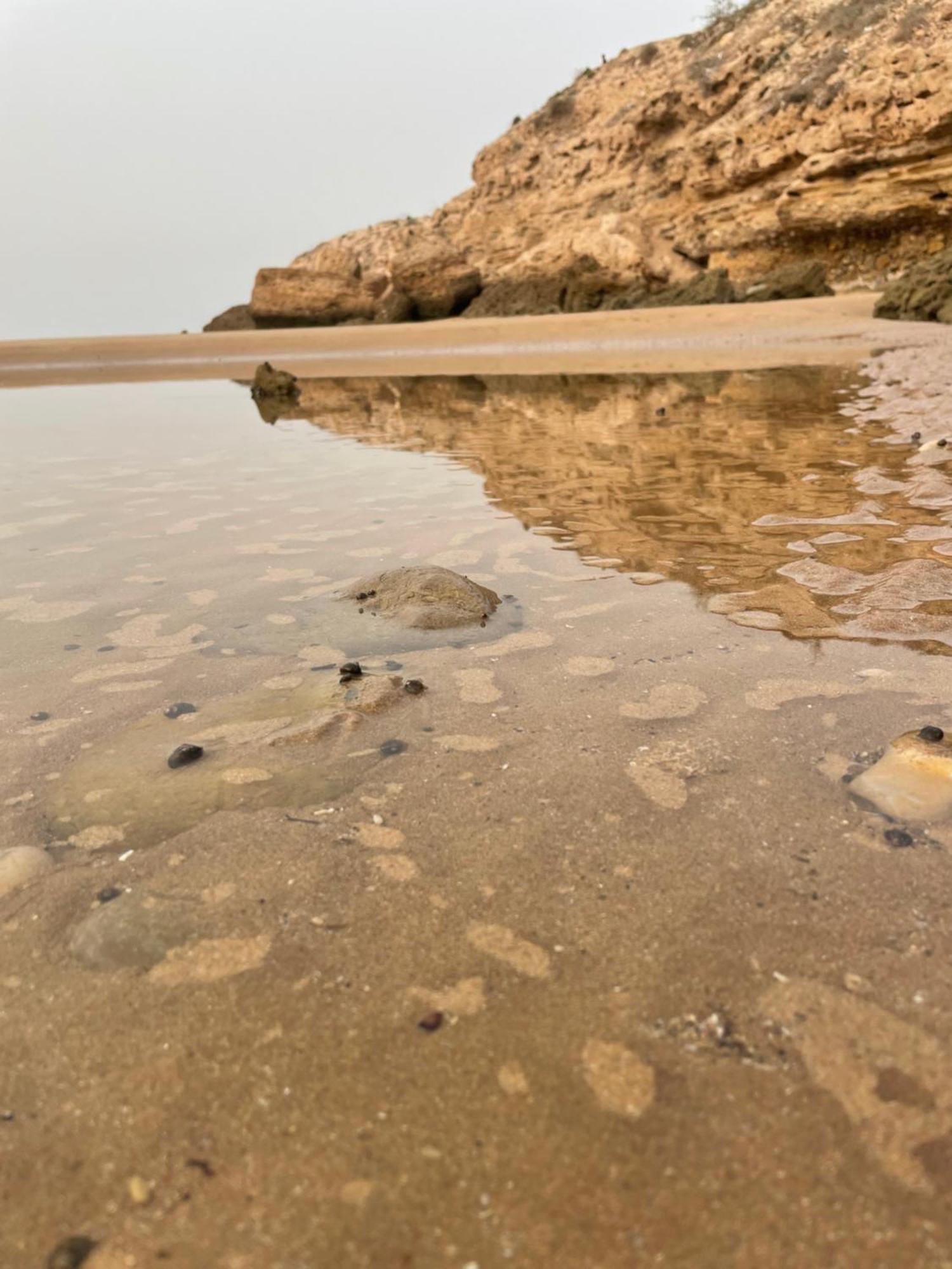2 Appartements A Tamraght Taghazout Bay Surf Spot Aourir Buitenkant foto